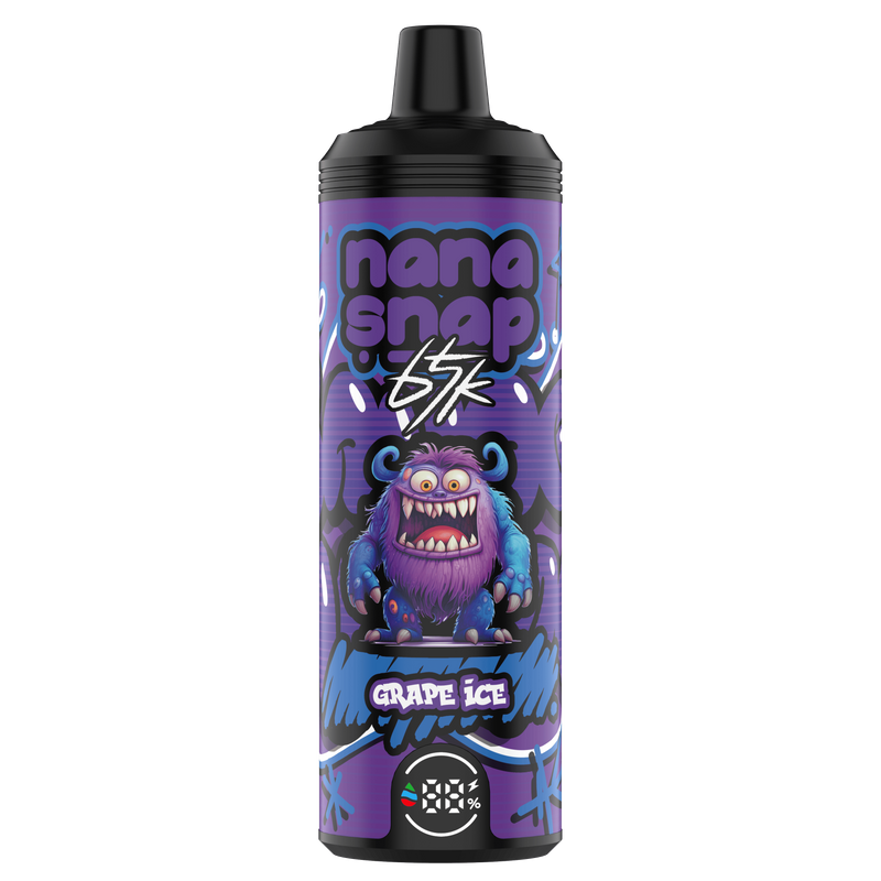 High Quality Nanasnap Shisha 65000 Puff 60000 50000 E Cigarette Pod Pocket Hookah Dtl Vaper 40ml E-Liquid Dual Mesh Coil EU Warehouse Disposable Vape 65K 60K 50K-Grape Ice