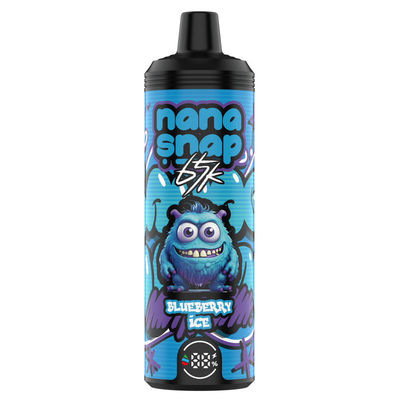 High Quality Nanasnap Shisha 65000 Puff 60000 50000 E Cigarette Pod Pocket Hookah Dtl Vaper 40ml E-Liquid Dual Mesh Coil EU Warehouse Disposable Vape 65K 60K 50K-Blueberry Ice